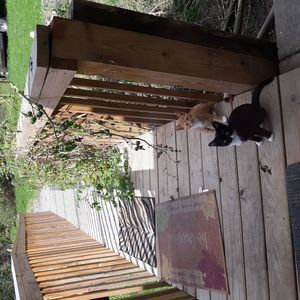 Meet your Posher, Patricia